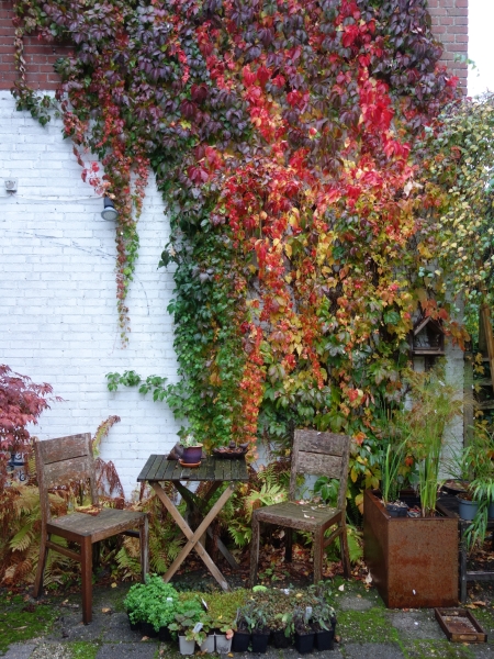 Irma Jansen Tuinontwerp