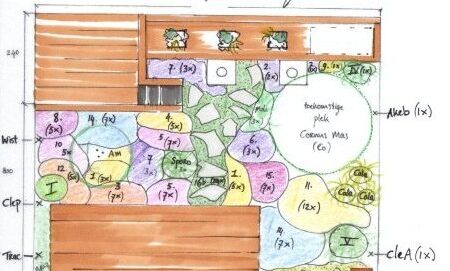 Irma Jansen Tuinontwerp project beplantingsplan Weesp