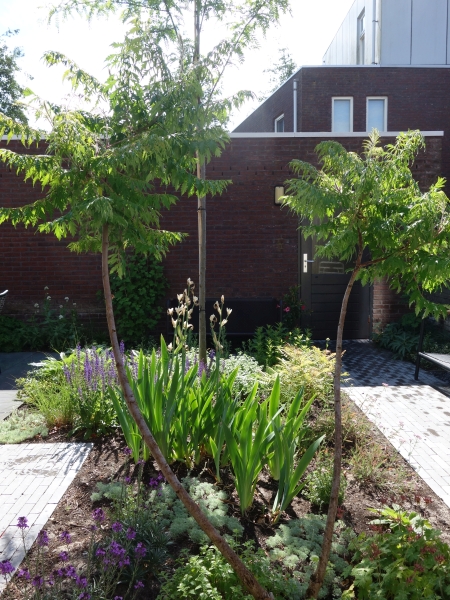 Irma Jansen Tuinontwerp