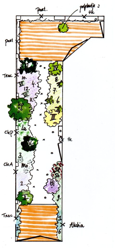 Irma Jansen Tuinontwerp