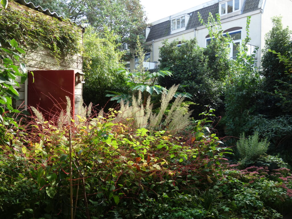 Irma Jansen Tuinontwerp