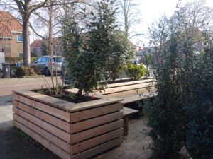 Irma Jansen Tuinontwerp