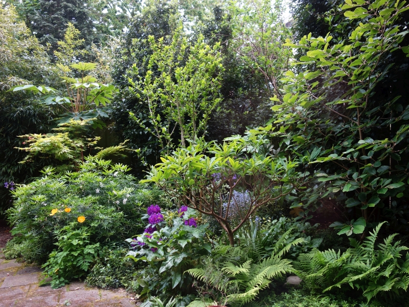 Irma Jansen Tuinontwerp