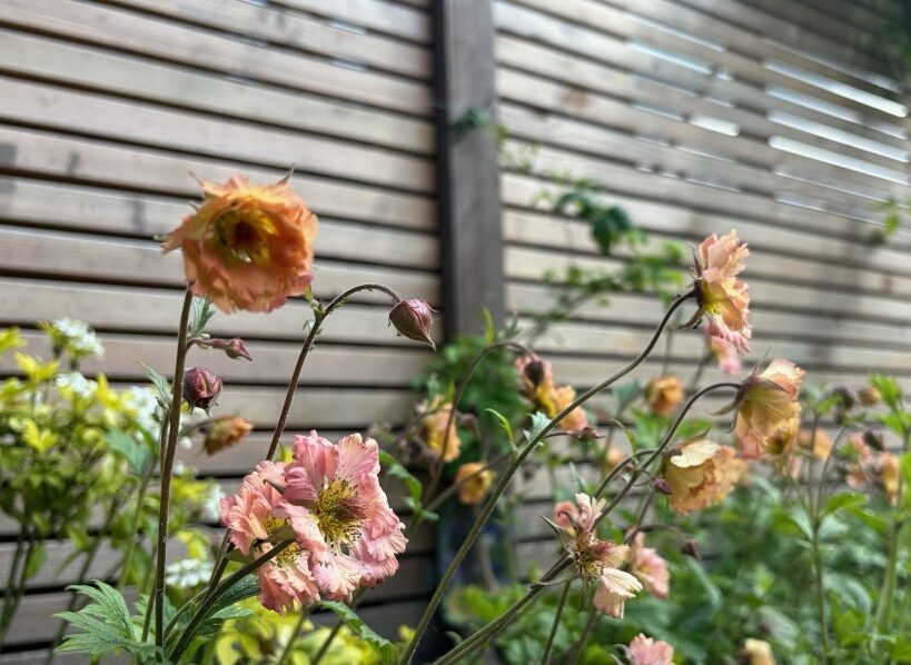 Irma Jansen Tuinontwerp