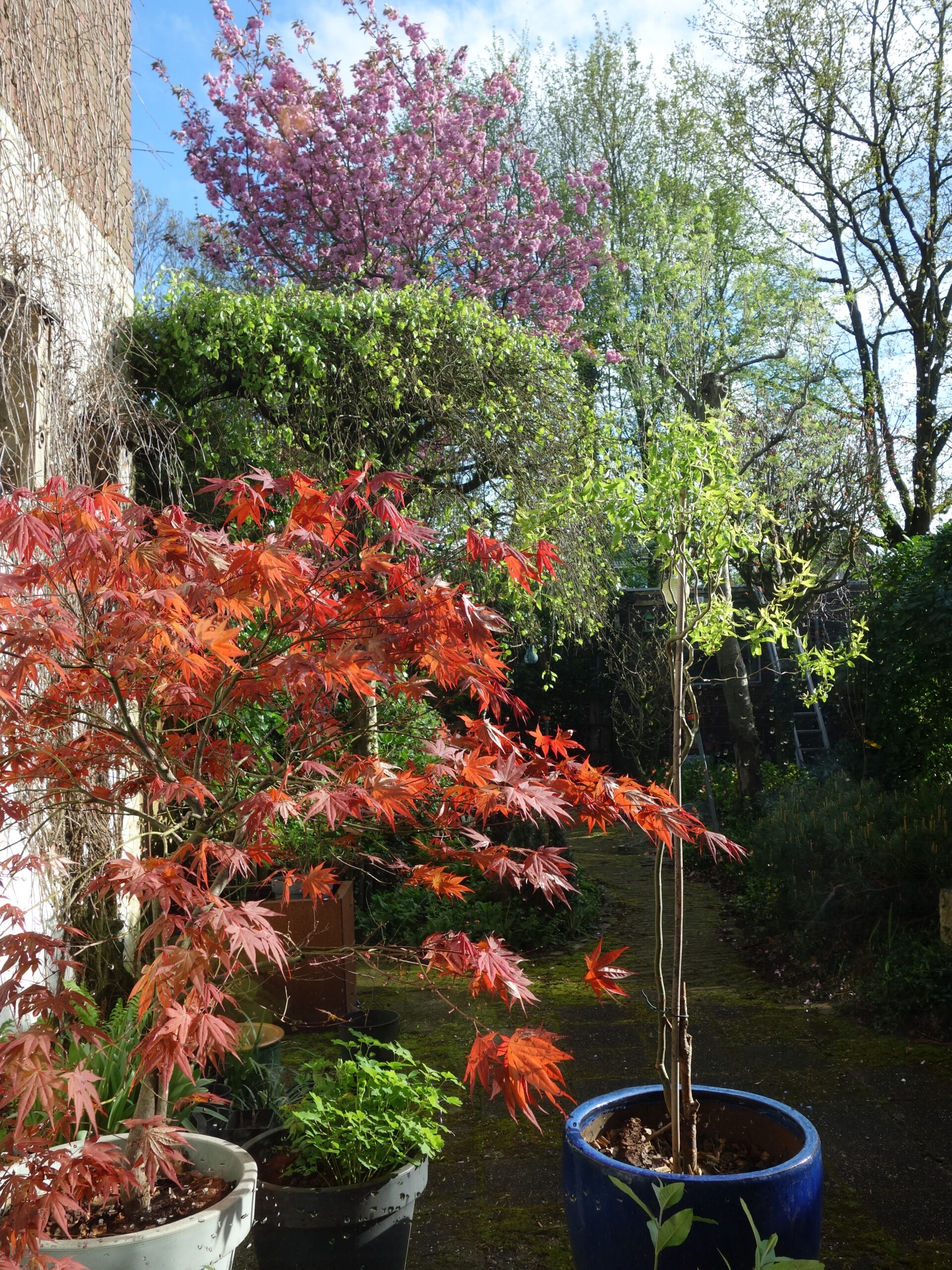 Irma Jansen Tuinontwerp