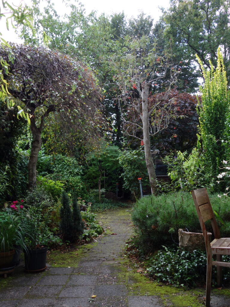 Irma Jansen Tuinontwerp