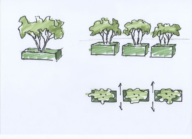 Irma Jansen Tuinontwerp