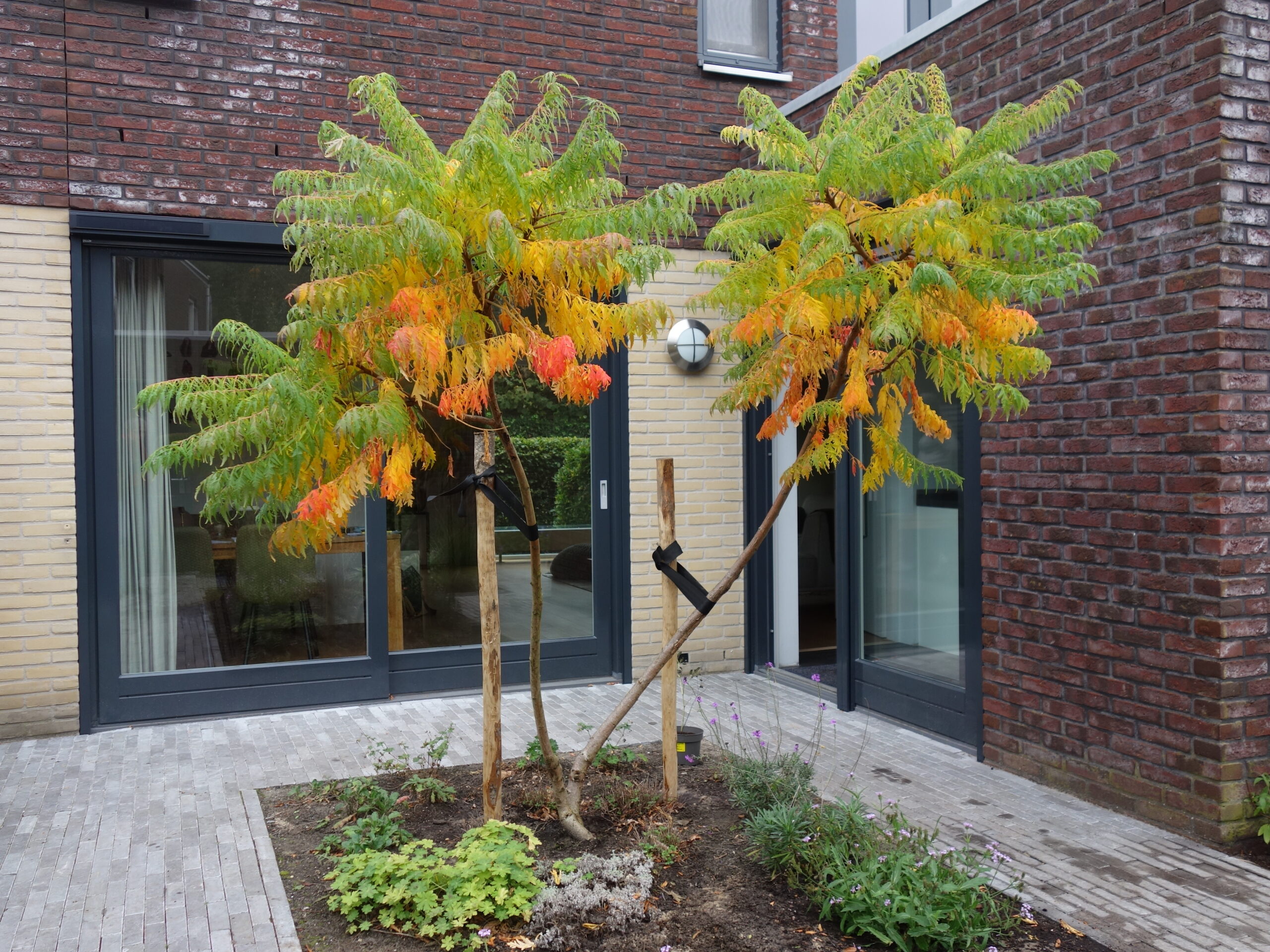 Irma Jansen Tuinontwerp