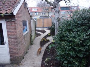 Irma Jansen Tuinontwerp